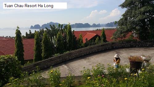 Tuan Chau Resort Ha Long