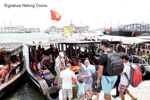 Signature Halong Cruise