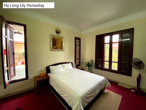 Hạ Long Lily Homestay