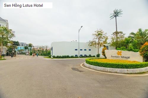 Sen Hồng Lotus Hotel